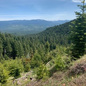 Meet your Posher, Jesse